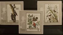 [Birds - The 200th Anniversary of the Birth of John J. Audubon, 1785-1851, ประเภท VF]