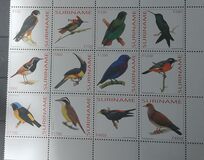 [Fauna - Birds, type BWQ]