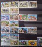 [Endangered Wildlife, type ACI]