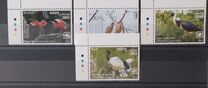 [Birds of the World - Ibis, type CBN]