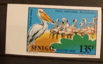 [Animals of Djoudj National Park, type ACT]