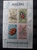 [Insects of Malawi, tip CI]