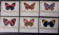 [Butterflies, tip WZ]