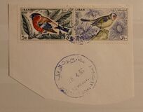 [Birds, type LS]