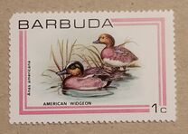 [Birds, type IK]
