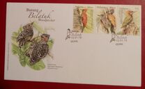 [Birds - Woodpecker, type BUR]