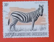 [African Animals, Tüüp AXA]