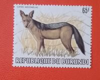 [African Animals, Tüüp AXD]