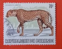 [African Animals, Tüüp AXE]