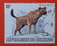 [African Animals, Tüüp AXG]