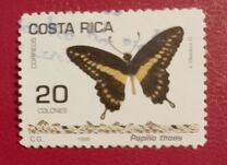 [Butterflies, type AOK]
