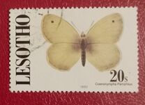 [Butterflies, type AGO]
