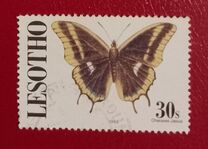 [Butterflies, type AGQ]
