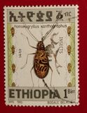 [Beetles, tipas AUC]