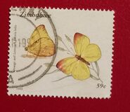 [Butterflies, Typ IZ]