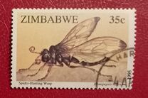 [Insects, Вид LN]