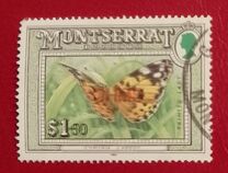 [Insects, type ZZ]
