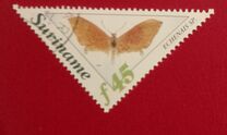 [Butterflies, տեսակ BJF]