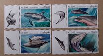 [Marine Life - Dolphin, Typ BKP]