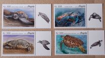 [Fauna - Turtles, type BKK]