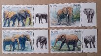 [Fauna - Elephants, type BNH]
