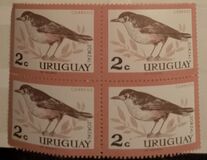 [Birds, Tipi PE]