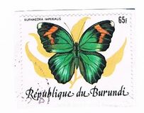 [Butterflies, 유형 AYQ]