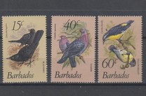 [Birds, Вид OW]