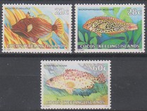 [Fish, tip AX]
