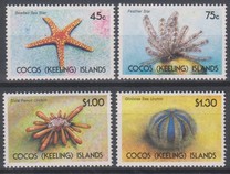 [Starfish and Sea Urchins, type IK]