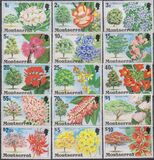 [Flowering Trees, տեսակ HH]