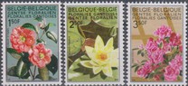 [flowers - Botanical Garden in Gent, type ALK]
