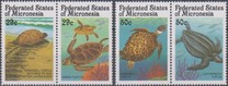 [Sea Turtles, 类型 HG]