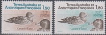 [Antarctic Fauna, 类型 FE]