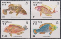[Fish, tegund GN]