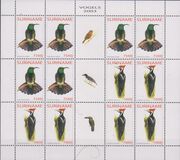 [Fauna - Birds, type BXV]
