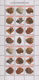[Shells, 类型 CPZ]