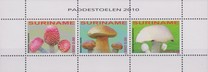 [Mushrooms, Typ CQJ]
