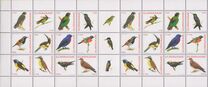 [Fauna - Birds, veids BWQ]
