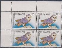 [Fauna - Western Barn Owl, type BHE]