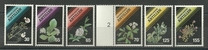 [Flowering Plants, type XA]