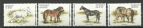 [Horses, type AFP]