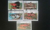 [Popular Aquarium Fish, Tipe BDA]