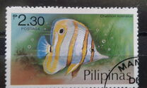 [Fish, type ANM]