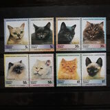 [Cats, 유형 AS]