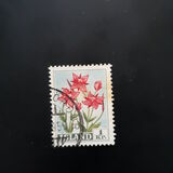 [Flowers, type EK]