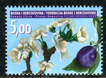 [Flowers - Domestic Plum, type JI]