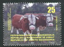 [Fauna - Water Buffalo, type CGH]