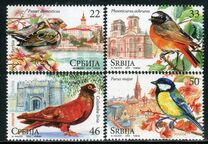 [City Birds, type HM]