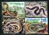 [Fauna - Snakes of Bosnia and Herzegovina, type MJ]